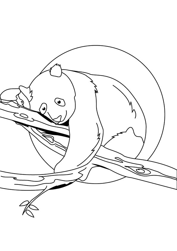 Plansa de colorat cu Panda 9 32